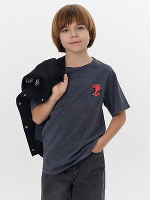 MARK FORMELLE Футболка 575118 113433 ACID WASH графит +печать