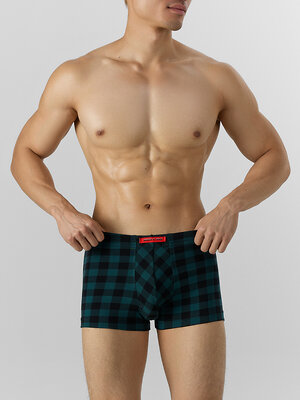 MARK FORMELLE Трусы 575362 411229 черная клетка на зеленом