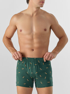 MARK FORMELLE Трусы 577280 411152 коньяк на хвойный лес