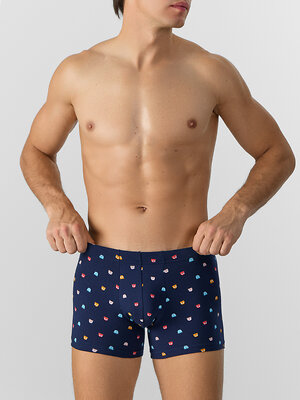 MARK FORMELLE Трусы 577291 411220 разноцветная набивка на затмении