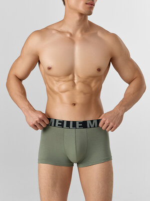 MARK FORMELLE Трусы 578483 411124 агава