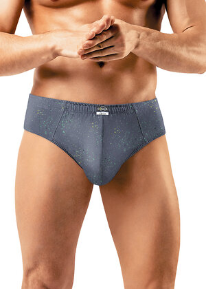 CLEVER Трусы 578971 MC560311 серый/св.зелёный