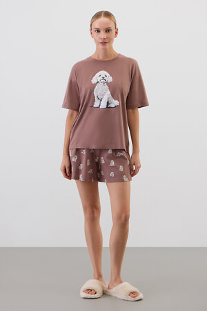 Trikozza Комплект 579501 Е 20195 коричневый