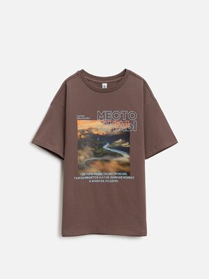 Acoola Футболка 579893 20210510200 коричневый