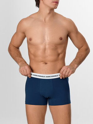 MARK FORMELLE Трусы 580570 411228 ночной океан