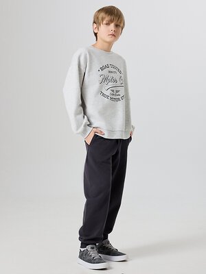 MARK FORMELLE Свитшот 581710 123447 серый меланж +печать