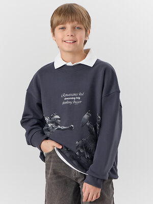 MARK FORMELLE Свитшот 581828 123495 графит +печать