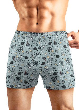 CLEVER Трусы 585805 MBX560641 зелёный/серый