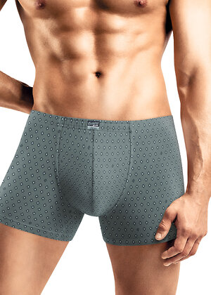 CLEVER Трусы 585813 MSH560611 серый/белый