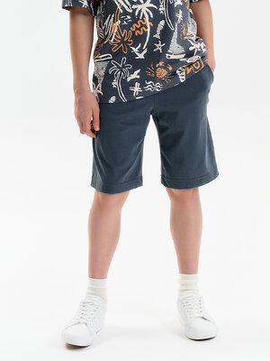 PELICAN Шорты 587565 BFH3369/1/1U Серый