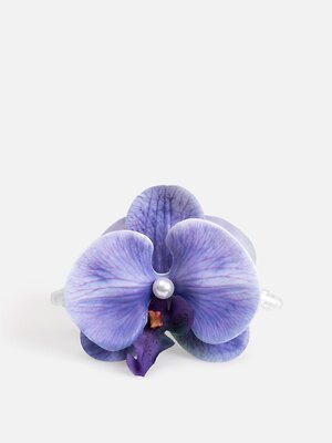 Acoola Заколка для волос 588235 20206320732 разноцветный