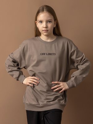 BATIK Свитшот 588584 021_ЛП26 Какао