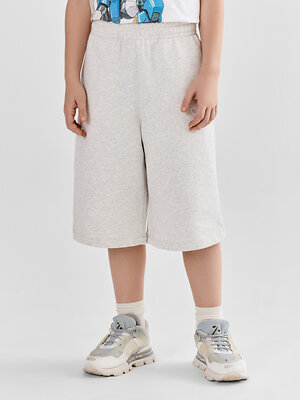 MARK FORMELLE Шорты 589193 133355 серый меланж+печать