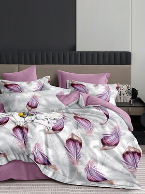 Текс-плюс КПБ Общий 589405 НФ-00244981 Перышки