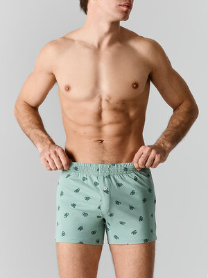 MARK FORMELLE Трусы 590608 411152 биг босс на зеленом