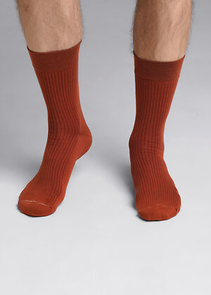 CLEVER Носки 590750 К009Л коричневый