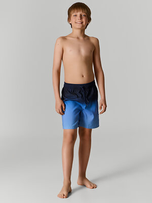 MARK FORMELLE Шорты плавательные 592290 703364 синий градиент