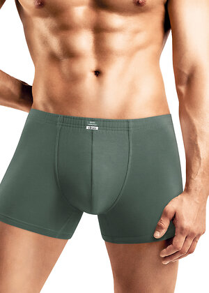 CLEVER Трусы 592538 MSH608710/8maxi(макси) т.зелёный