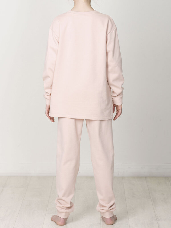 PELICAN Комплект 254417 WFANP4300U Пудра