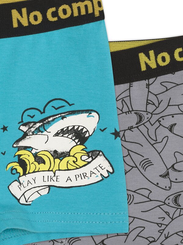 PELICAN Трусы 256161 BUHB3289(2) Серый/бирюза