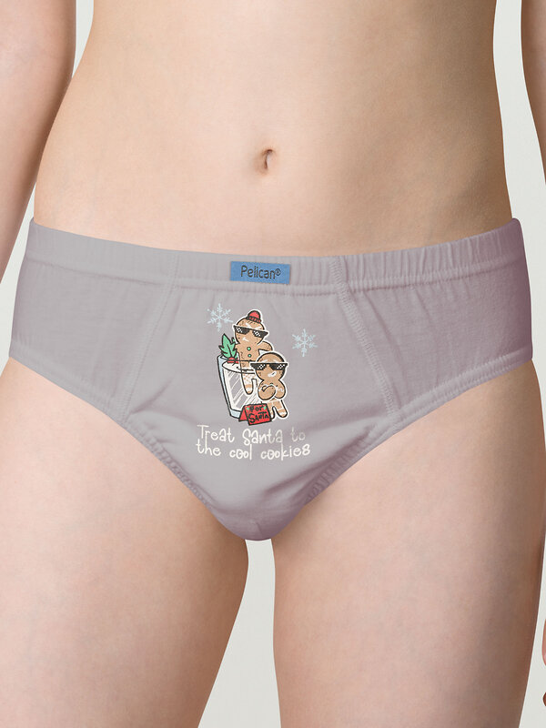 PELICAN Трусы 263533 BULB5308(3) Серый/голубой/джинс