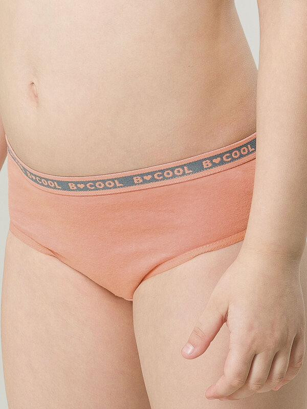 PELICAN Трусы 298200 GULB3298(3) Светло-серый/персиковый/изумрудный