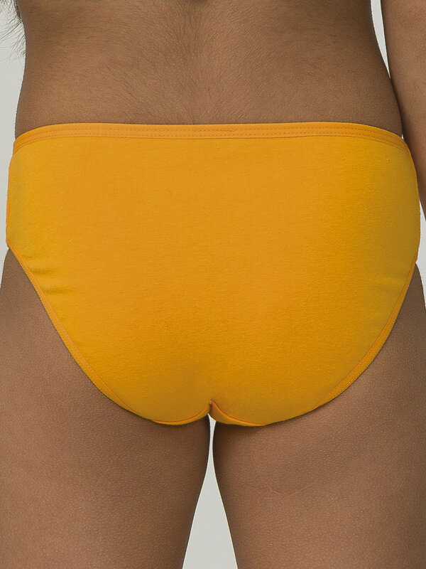 PELICAN Трусы 298203 GULB3301/1(3) Оранжевый/терракотовый/персиковый