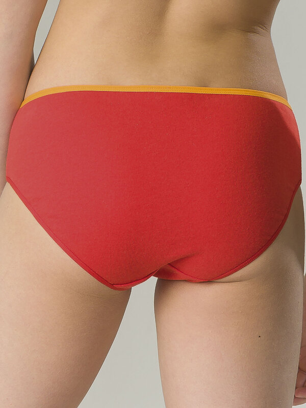 PELICAN Трусы 298231 GULC4301(3) Оранжевый/красный/терракотовый