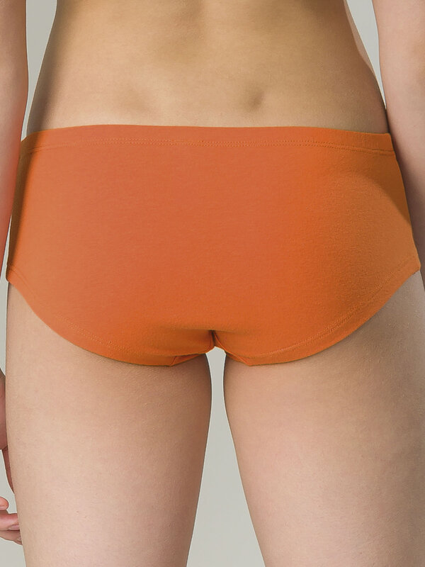 PELICAN Трусы 298294 GUHB4301(2) Терракотовый/оранжевый