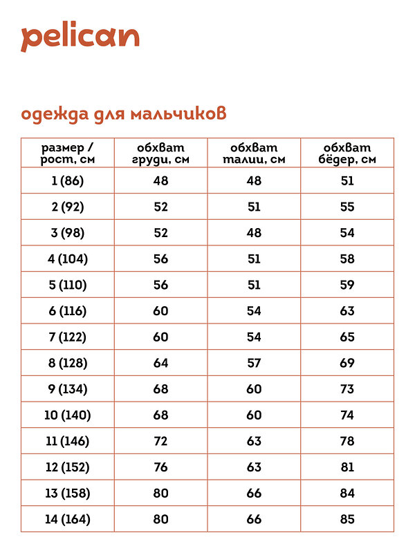 PELICAN Пижама 340842 NFAJP3351/1 Серый