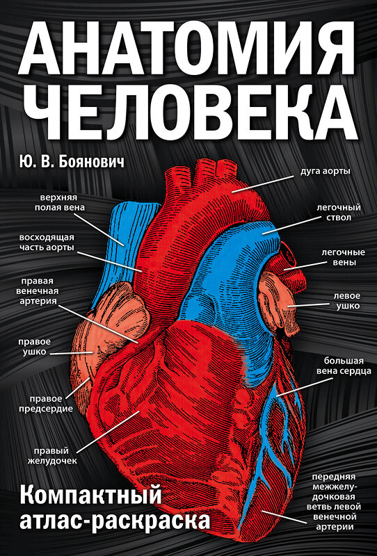 Эксмо Ю. В. Боянович "Анатомия человека: компактный атлас-раскраска" 341325 978-5-699-98648-4 