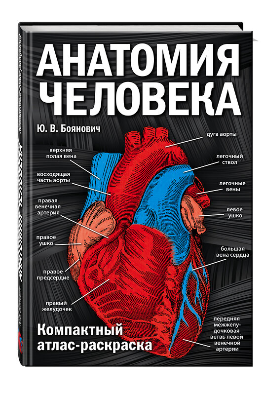 Эксмо Ю. В. Боянович "Анатомия человека: компактный атлас-раскраска" 341325 978-5-699-98648-4 