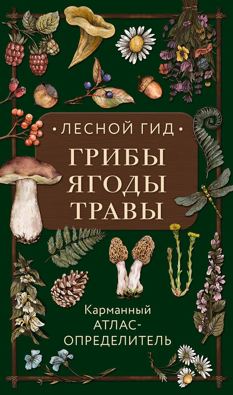 Эксмо Людмила Семенова "Лесной гид: грибы, ягоды, травы. Карманный атлас-определитель" 341415 978-5-699-99701-5 