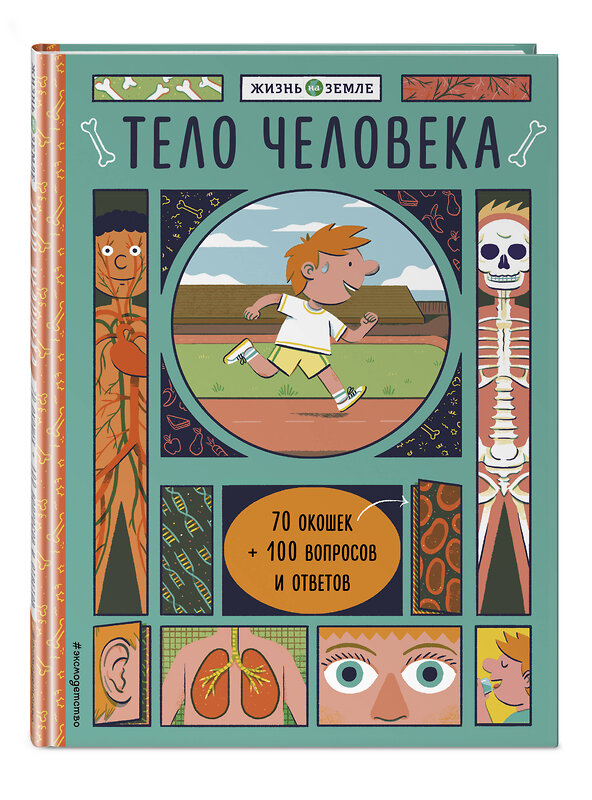 Эксмо Александер Х. "Тело человека (с окошками)" 341989 978-5-04-092764-7 