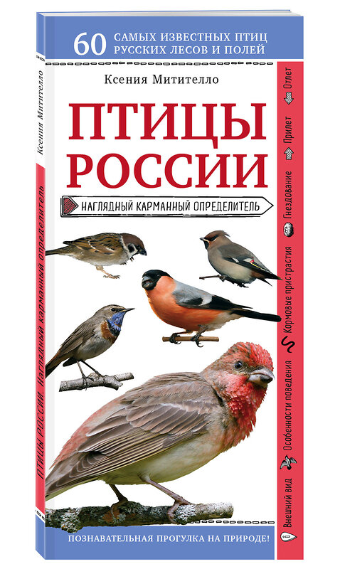 Эксмо Ксения Митителло "Птицы России. Наглядный карманный определитель (для ПР)" 342673 978-5-04-096363-8 