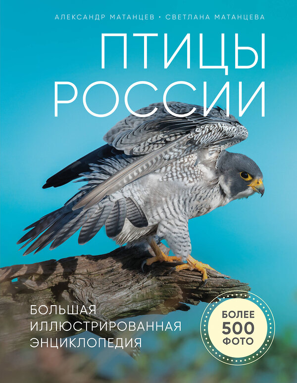 Эксмо Александр Матанцев "Птицы России. Большая иллюстрированная энциклопедия" 343594 978-5-04-101335-6 