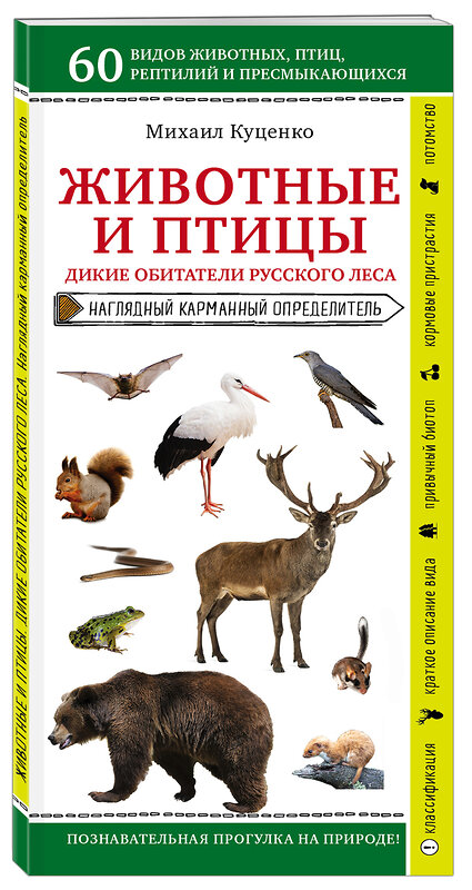 Эксмо Михаил Куценко "Животные и птицы. Дикие обитатели русского леса" 346377 978-5-04-111874-7 