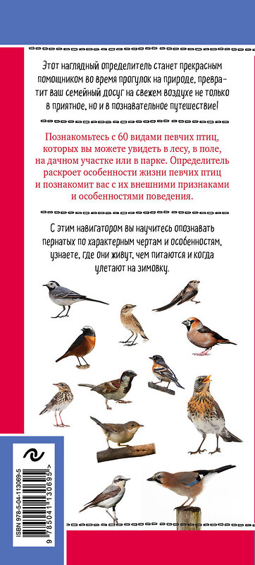 Эксмо Михаил Куценко "Певчие птицы. Обитатели лесов и полей" 346791 978-5-04-113069-5 