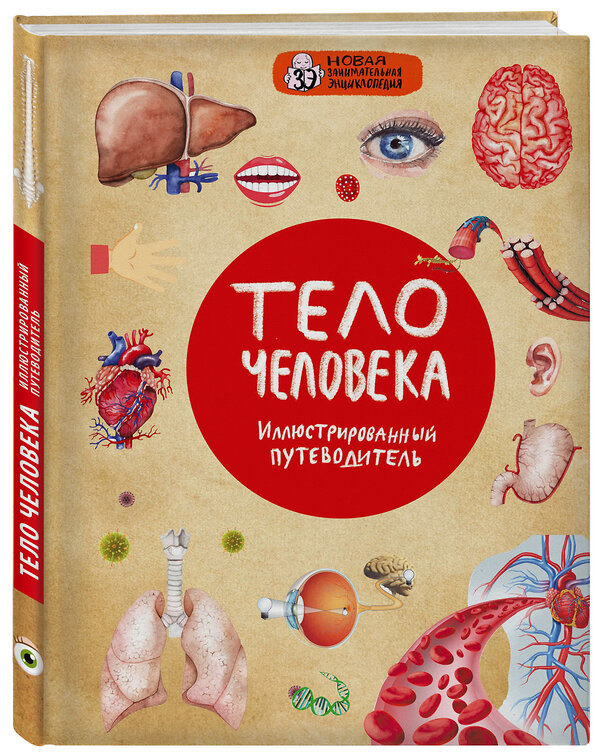 Эксмо Д. Лукашанец, О. Мазур, Т. Никитинская "Тело человека" 347233 978-5-04-111014-7 