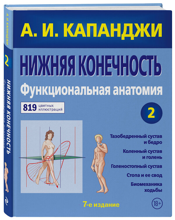 Эксмо А. И. Капанджи "Нижняя конечность: Функциональная анатомия (обновленное издание)" 347464 978-5-04-113753-3 
