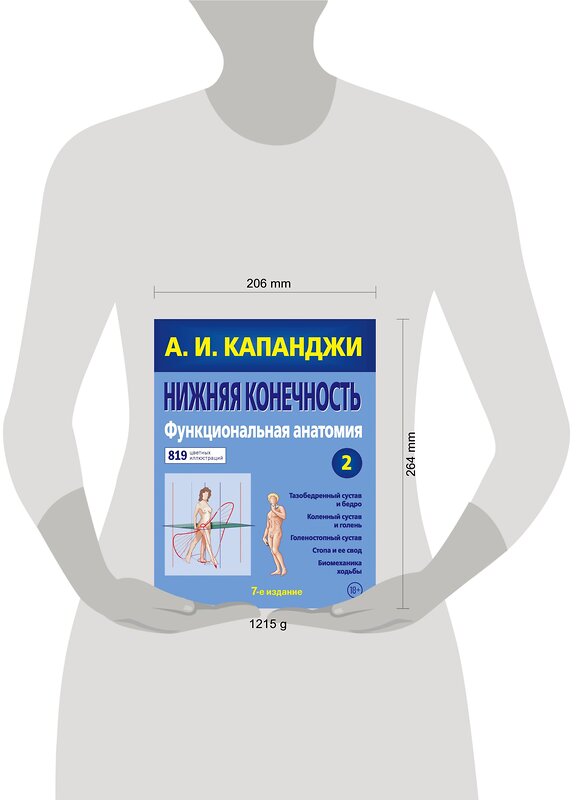 Эксмо А. И. Капанджи "Нижняя конечность: Функциональная анатомия (обновленное издание)" 347464 978-5-04-113753-3 