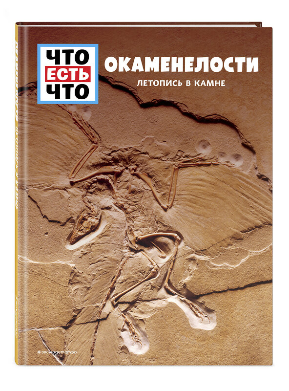 Эксмо Манфред Баур "ОКАМЕНЕЛОСТИ. Летопись в камне" 348161 978-5-04-108710-4 