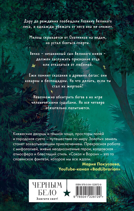 Эксмо Ульяна Черкасова "Золотые земли. Сокол и Ворон" 351091 978-5-04-122872-9 