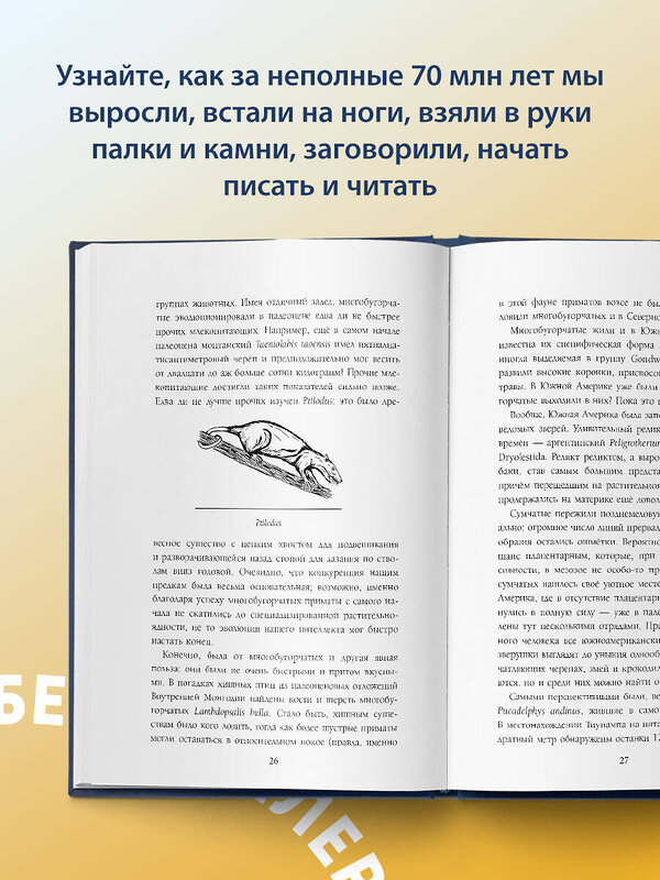 Эксмо Станислав Дробышевский "Палеонтология антрополога. Том 3.Кайнозой" 352023 978-5-04-158355-2 