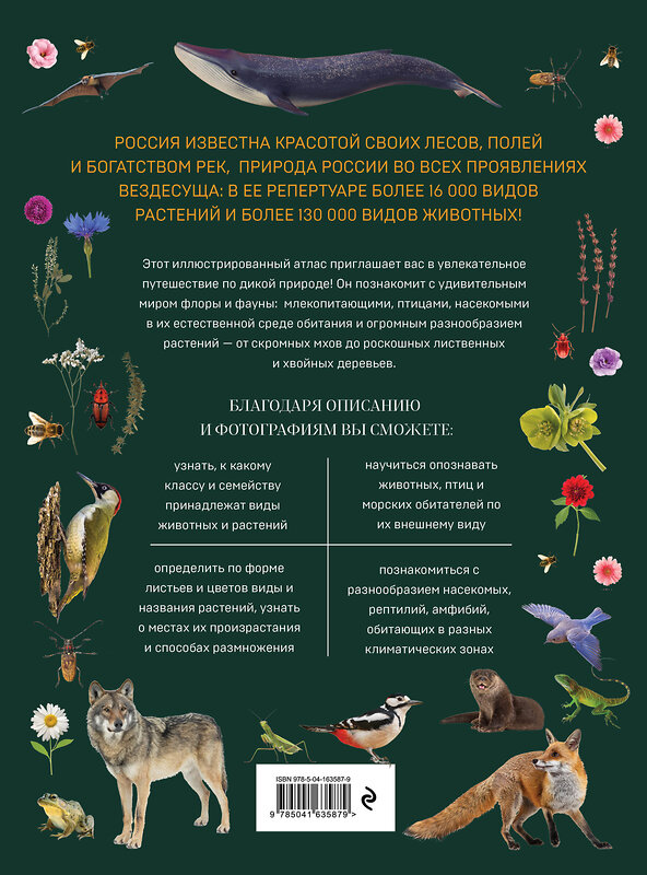 Эксмо Алина Ярощук "Атлас живой природы России. Полный иллюстрированный справочник" 354137 978-5-04-163587-9 