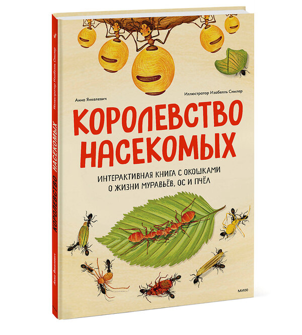 Эксмо Анна Янкелевич "Королевство насекомых. Интерактивная книга с окошками о жизни муравьёв, ос и пчёл" 355506 978-5-00195-273-2 