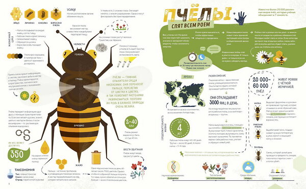 Эксмо Октавио Пинтос, Мартин Ианнуззи "Как спит пчела? Удивительные факты о животных и их суперспособностях" 355563 978-5-00195-295-4 
