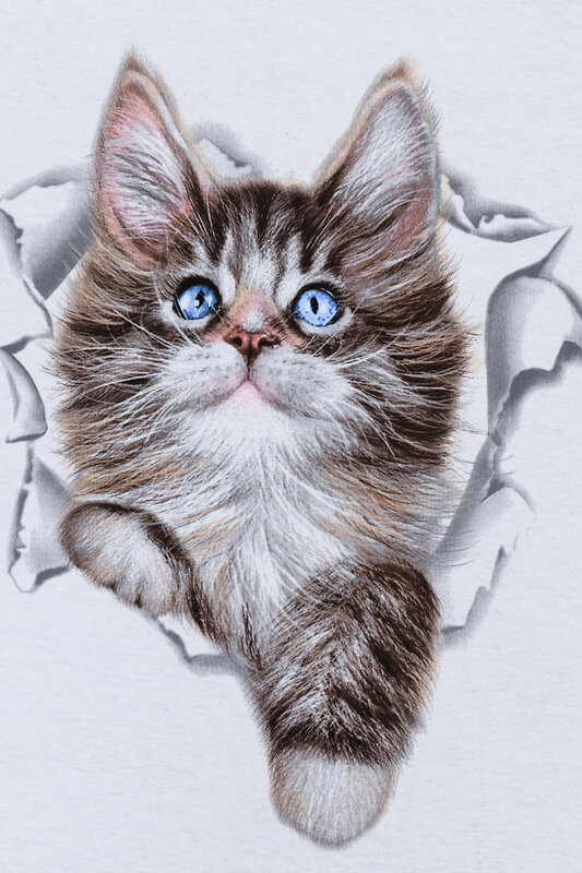 Натали Костюм 355841 Костюм Брамс серый