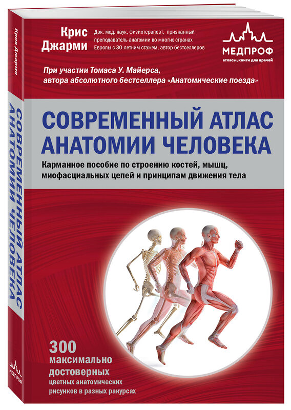 Эксмо Крис Джарми "Современный атлас анатомии человека. Карманное пособие по строению костей, мышц, миофасциальных цепей и принципам движения тела" 358577 978-5-04-177453-0 