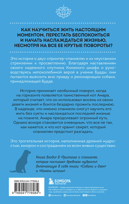 Эксмо Гэри Хедс "Кошка, у которой осталась одна жизнь" 358611 978-5-04-177608-4 